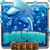 Dolphin Reef